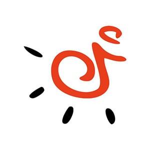 کد تخفیف شیدسافت