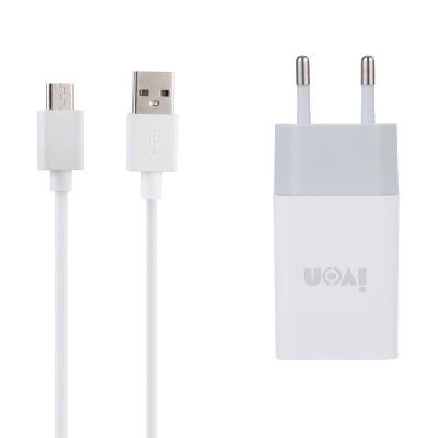 خرید شارژر دیواری آیوان با کابل microUSB