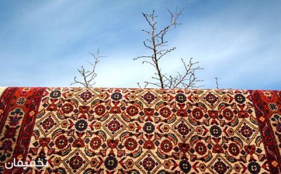 کد تخفیف شستشوی فرش و قالی