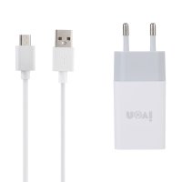 خرید شارژر دیواری آیوان با کابل microUSB